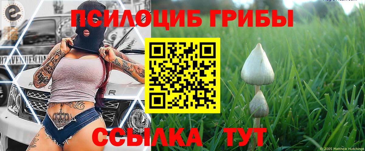 Псилоцибиновые грибы MAGIC MUSHROOMS  Псилоцибиновые грибы Cubensis  Вход с VPN  Черняховск 